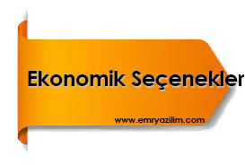 Ekonomik Web Site