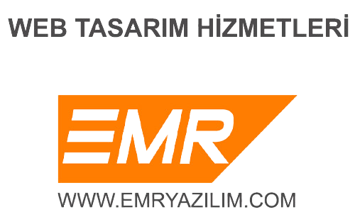 Profesyonel Web Tasarım