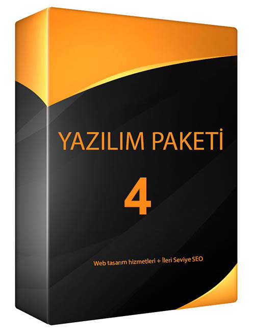 Profesyonel Web Site Tasarım Fiyatı